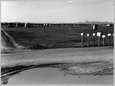 Olivehurst, Yuba County, California. Shows the settlement looking west on 11th Avenue Olivehurst. A . . . - NARA - 521594 photo