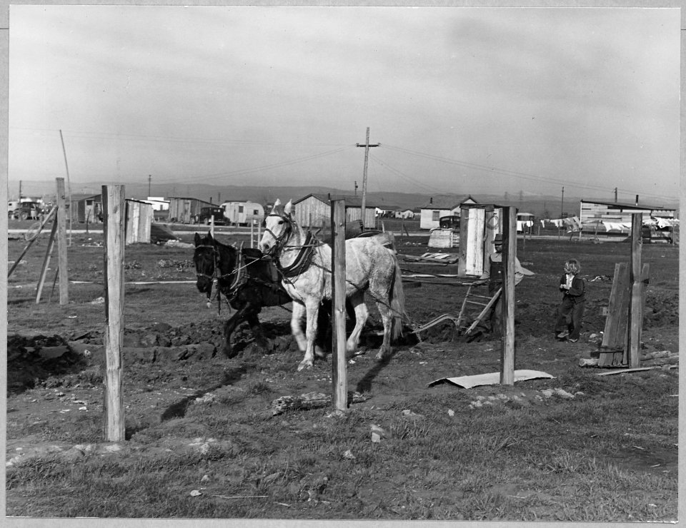 Oliverhurst, Yuba County, California. Spring plowing on rear of one-half acre in rural shacktown tra . . . - NARA - 521613