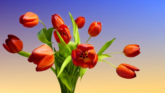 Red isolated spring