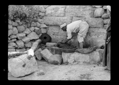 Olive crushing and pressing. Putting crushed olives into basket-containers for pressing LOC matpc.15644