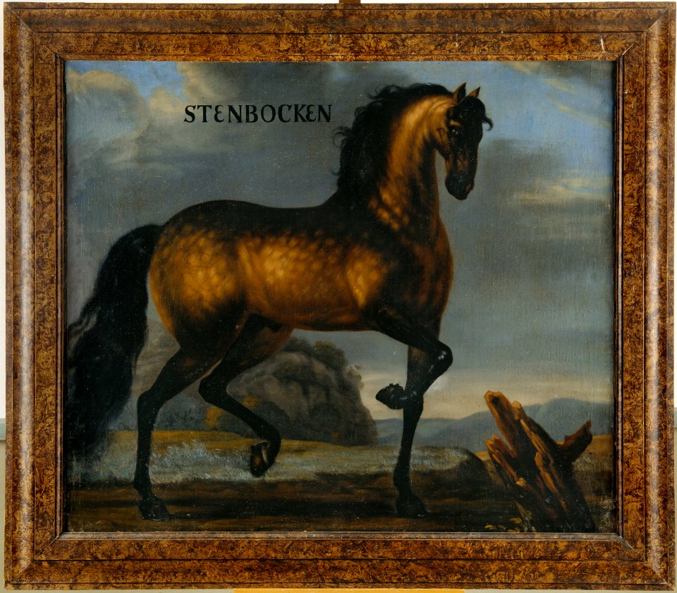 Oljemålning på duk, hästporträtt, ca 1650 - Skoklosters slott - 56653