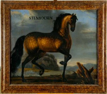 Oljemålning på duk, hästporträtt, ca 1650 - Skoklosters slott - 56653