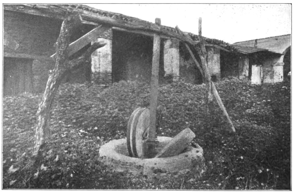 Olive mill San Juan Capistrano