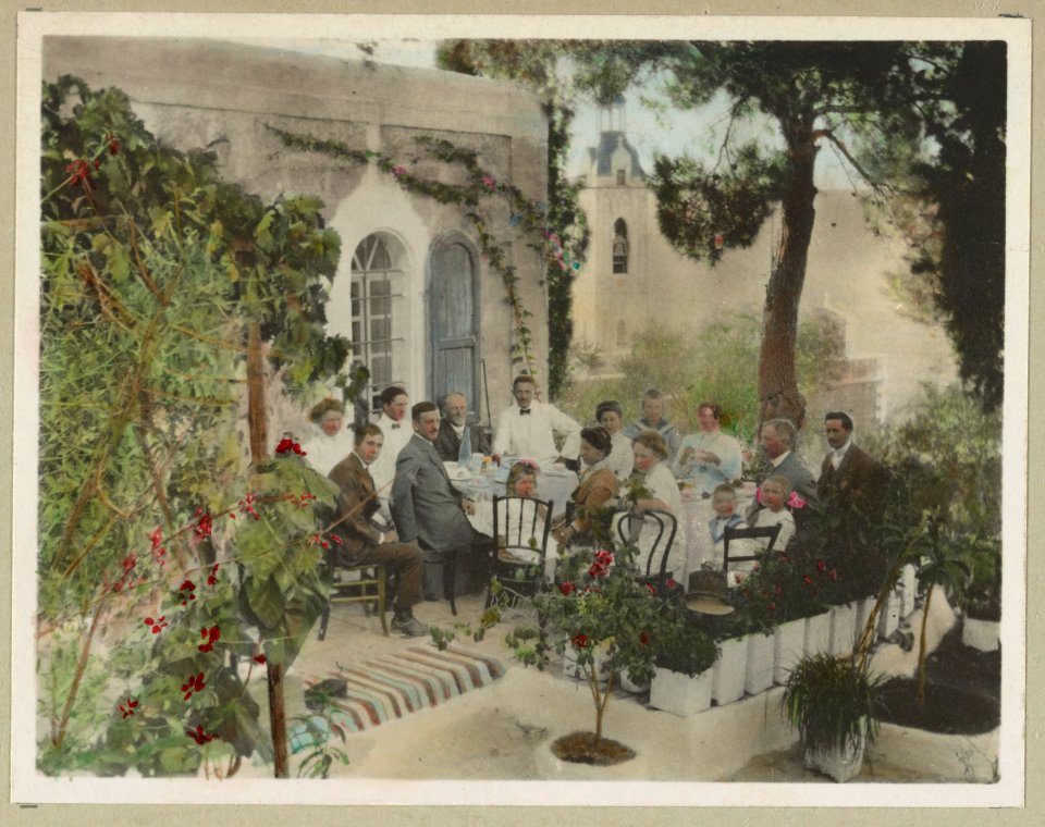 Olive trees LCCN2012648193