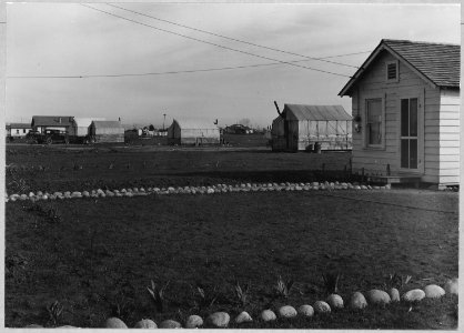 Olivehurst, Yuba County, California. Looking up Second Avenue. Note flower plantings. - NARA - 521586 photo