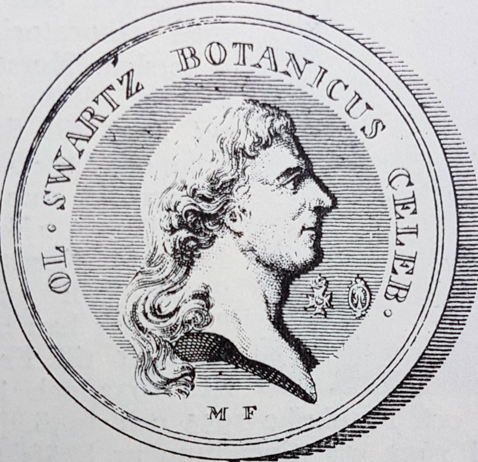 Olof Swartz x Mauritz Frumerie 1824