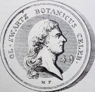 Olof Swartz x Mauritz Frumerie 1824