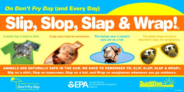 On Don't Fry Day (and Every Day), Slip, Slop, Slap & Wrap! - NARA - 6061277 photo