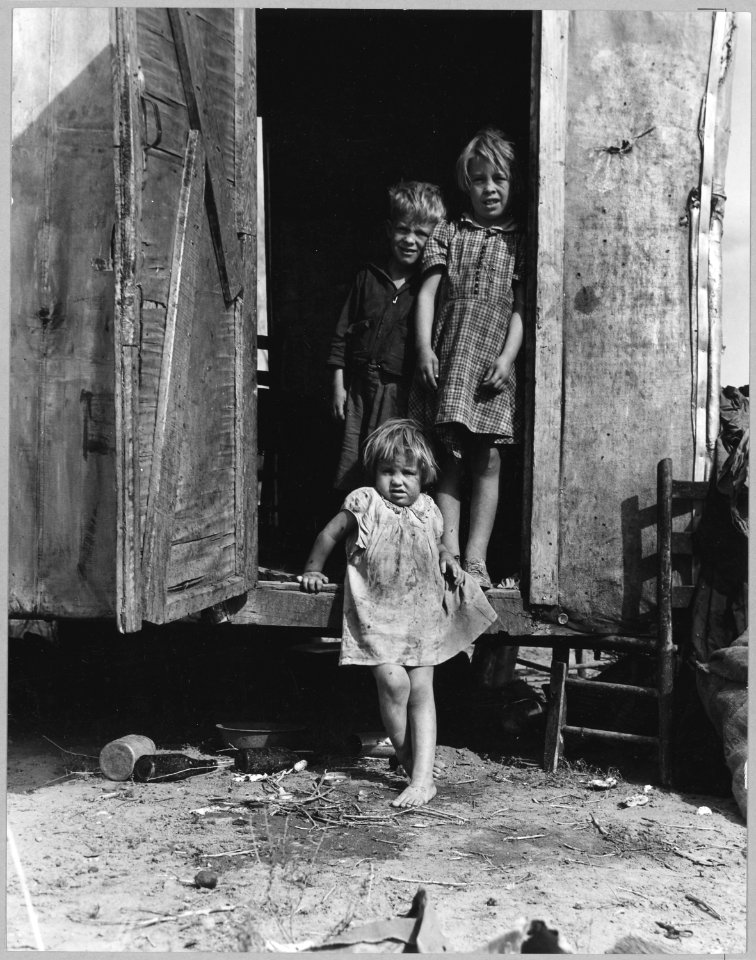 On Arizona Highway 87, south of Chandler. Maricopa County, Arizona. Children in a democracy. A migra . . . - NARA - 522203