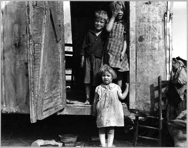 On Arizona Highway 87, south of Chandler. Maricopa County, Arizona. Children in a democracy. A migra . . . - NARA - 522205