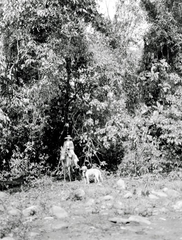 Olga Nordenskiöld med hunden Toy under expeditionen - SMVK - 005563