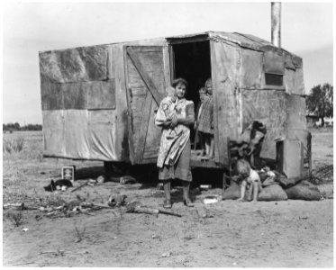 On Arizona Highway 87, south of Chandler. Maricopa County, Arizona. Children in a democracy. A migra . . . - NARA - 522529