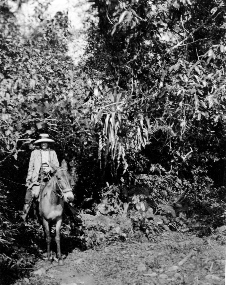 Olga Nordenskiöld under exp. Lokal, Vägen mellan S-a Rosa och Cochabamba (Chaparé-området), Bolivia - SMVK - 005564