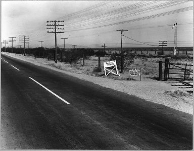 On Highway 80, Maricopa County, Ariz. Ranch advertisement during cotton harvest. Highway signs read . . . - NARA - 522217