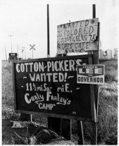 On Highway 84, outskirts of Eloy, Pinal County, Arizona. Highway signs reading cotton pickers wante . . . - NARA - 522492