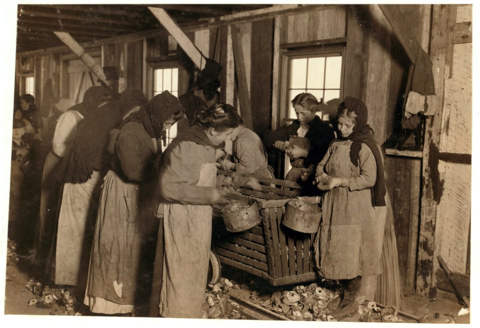 On right-hand end is Marie --, eight years old, who shucks 6 or 7 pots of oysters a day (30 or 35 cents) at a canning company. At left end of photo is Johnnie --, eight years old, who earns LOC cph.3a29843