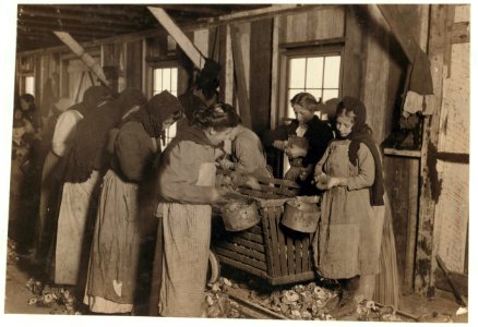 On right-hand end is Marie --, eight years old, who shucks 6 or 7 pots of oysters a day (30 or 35 cents) at a canning company. At left end of photo is Johnnie --, eight years old, who earns LOC cph.3a29843