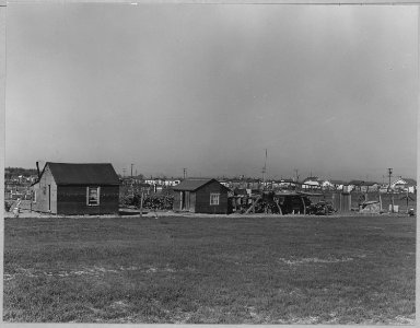 Olivehurst, Yuba County, California. Family unit. The houses are covered with tarpaper. - NARA - 521600 photo