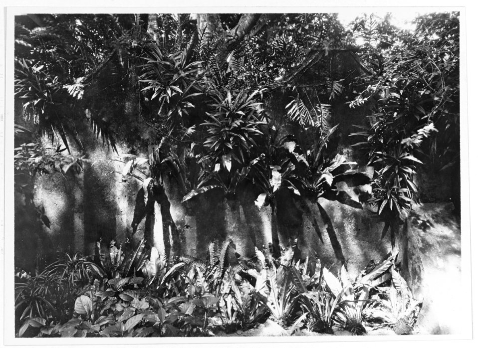 Old wall at palace, Agana, Guam, 7 October 1929