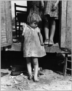 On Arizona Highway 87, south of Chandler. Maricopa County, Arizona. Children in a democracy. A migra . . . - NARA - 522204