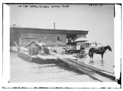 On the levee, St. Louis, during flood LCCN2014690355