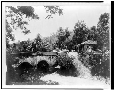 On the Military Road, Puerto Rico LCCN96522667