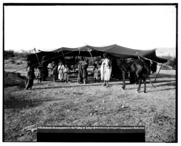 On the way to Jericho (Er-Riha), Jordan, etc. Bedouin tent LOC matpc.06780