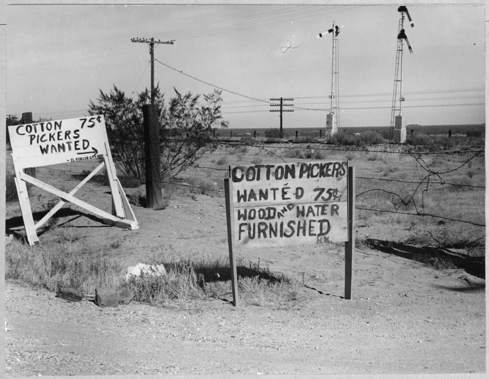 On Highway 80, Maricopa County, Arizona. Ranch advertisement during cotton harvest. Highway signs re . . . - NARA - 522289