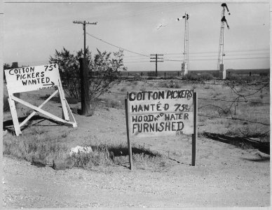 On Highway 80, Maricopa County, Arizona. Ranch advertisement during cotton harvest. Highway signs re . . . - NARA - 522289