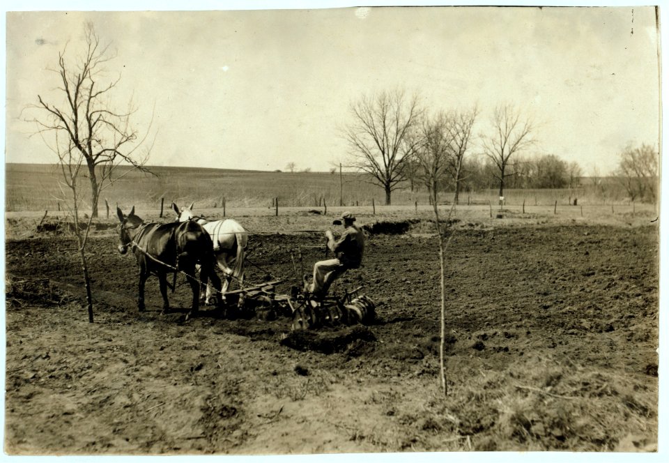 One of the boys disking the ground on the farm. Pauls Valley Training School. See 4833-4842. LOC nclc.05244