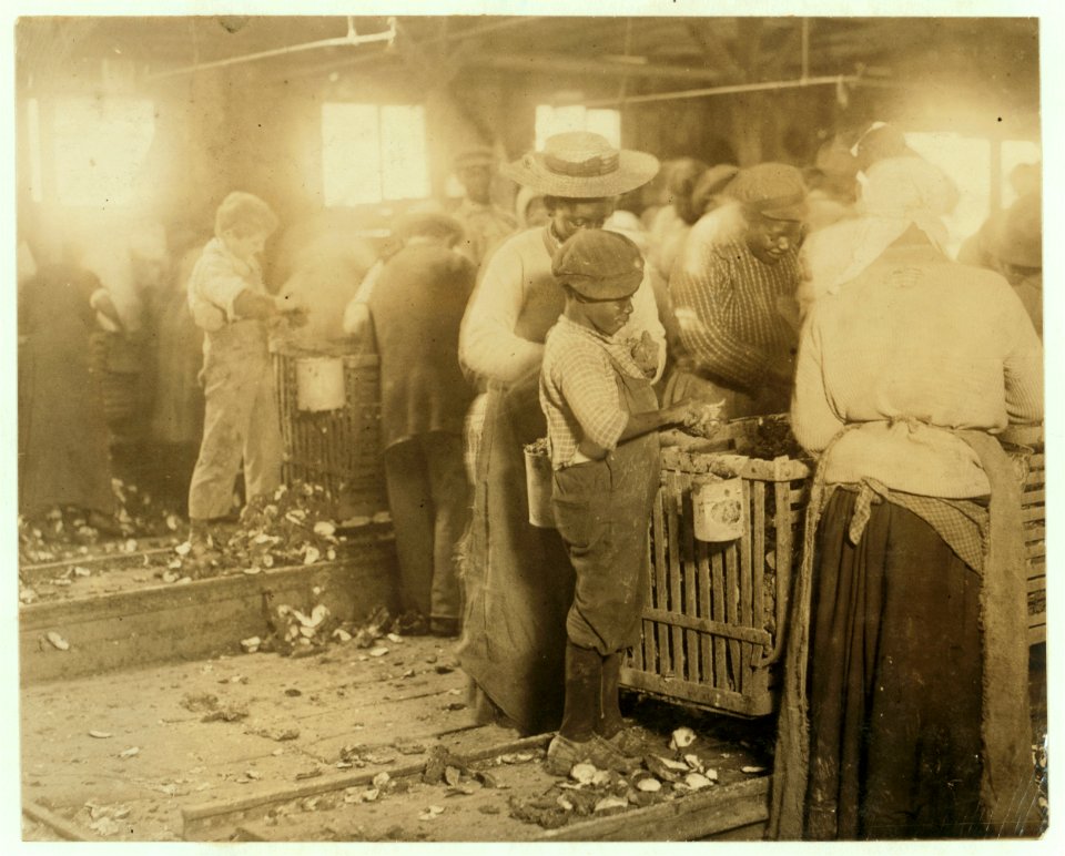 One of the smallest negro oyster shuckers that I found on the Atlantic Coast. Usually they do not work the negro children. Varn & Platt Canning Co. LOC cph.3c22661