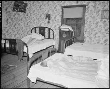 One bedroom in the three room house in which Mr. and Mrs. George Hoskins and ten children live. Coleman Fuel Company... - NARA - 541133