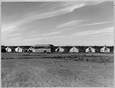 One mile south of Eloy, Pinal County, Arizona. School bus returns children to grower's camp in the l . . . - NARA - 522225