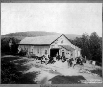 Onteora Livery Stable, Tannersville, N.Y. LCCN2005684992