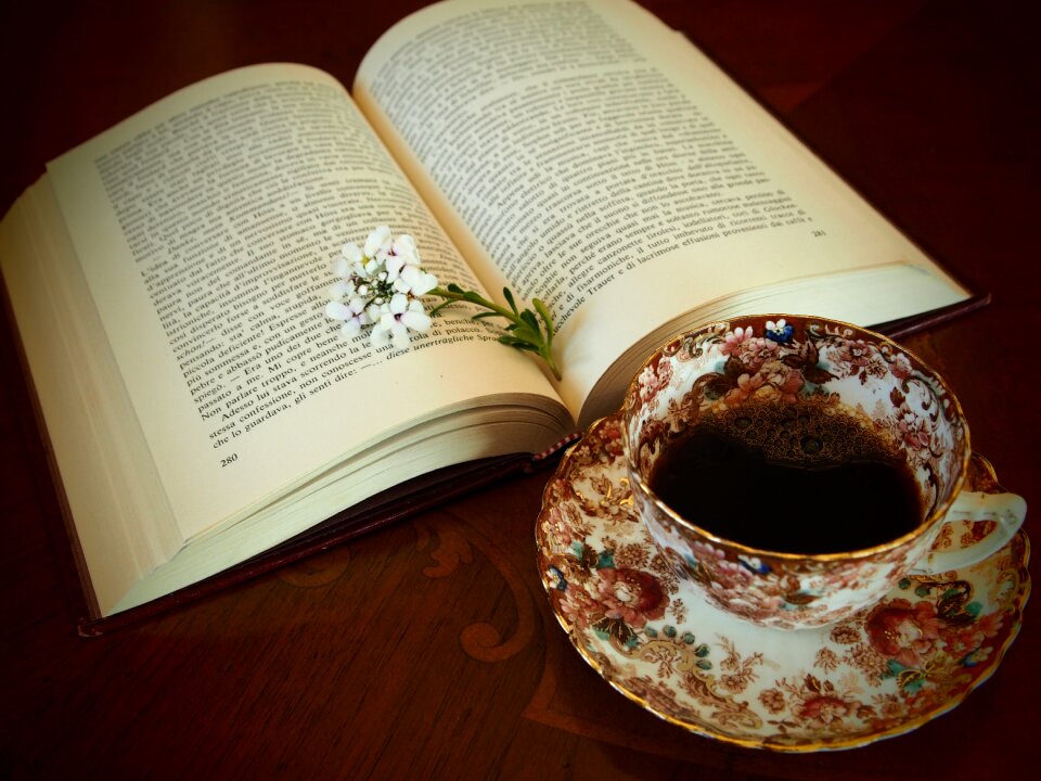 Wood map book