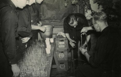 Oogsthulp in Tynaarlo - Fotodienst der NSB - NIOD - 211518