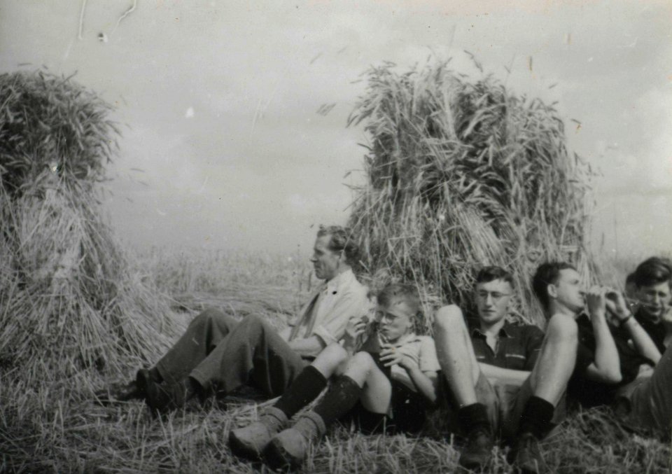 Oogsthulp in Tynaarlo - Fotodienst der NSB - NIOD - 211539