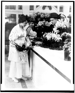 Opening of the Astor market, New York City, 1915 LCCN92522667