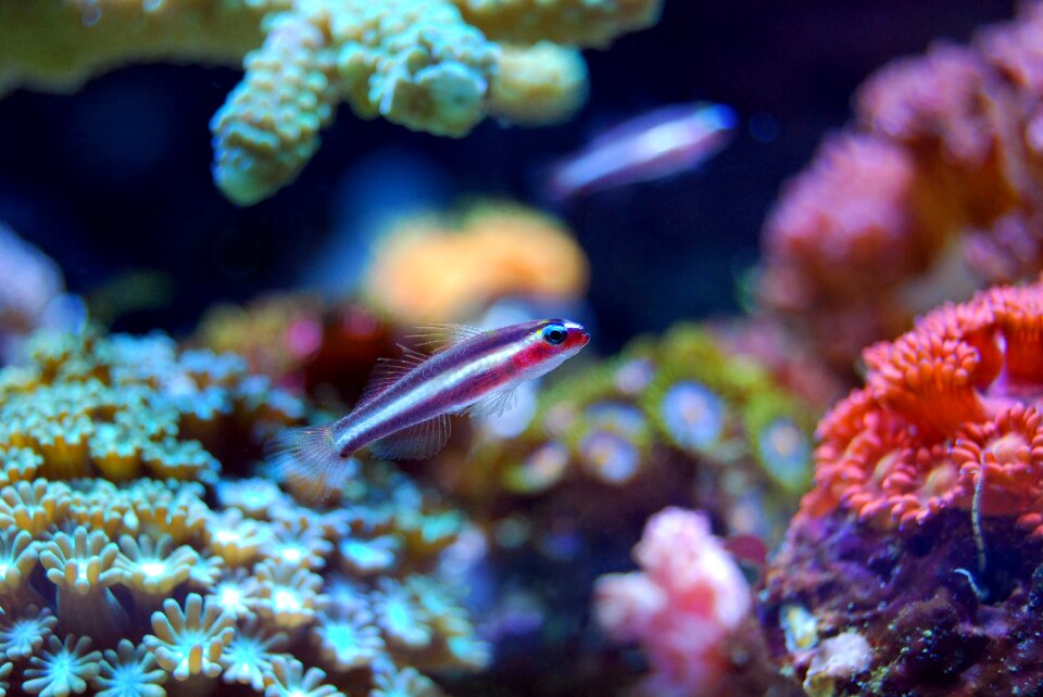 Sea underwater water
