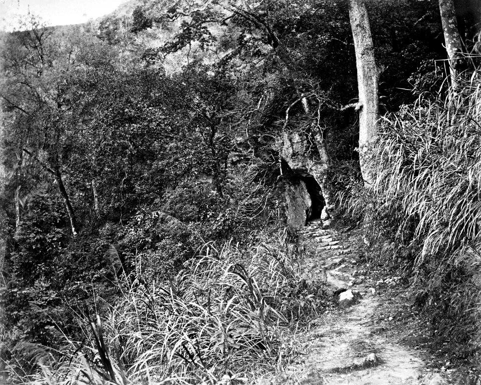 On the road leading to Yuen-foo Monastery