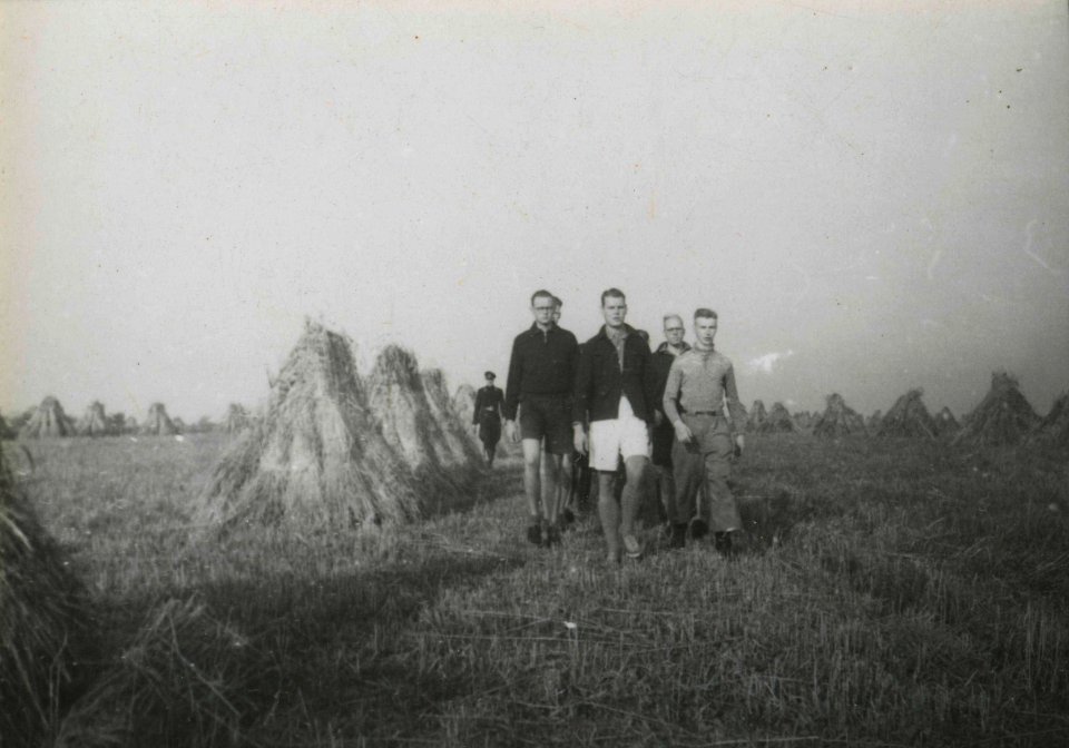 Oogsthulp in Tynaarlo - Fotodienst der NSB - NIOD - 211474