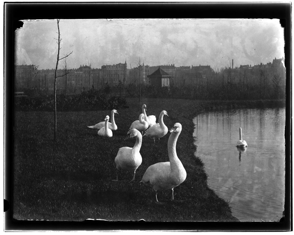 Oosterpark, foto 6 Jacob Olie (max res)