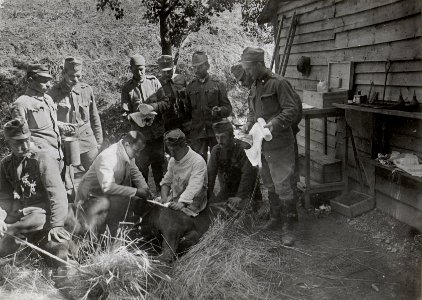 Operation eines Pferdes a.d.Isonzofront.13.9.17. (BildID 15604703)