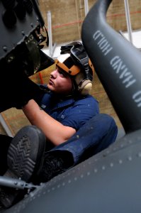 Operation Unified Response DVIDS245709