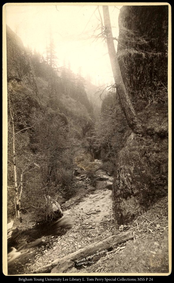 Oneonyl Gorge, Columbia River, C.R. Savage Photo.