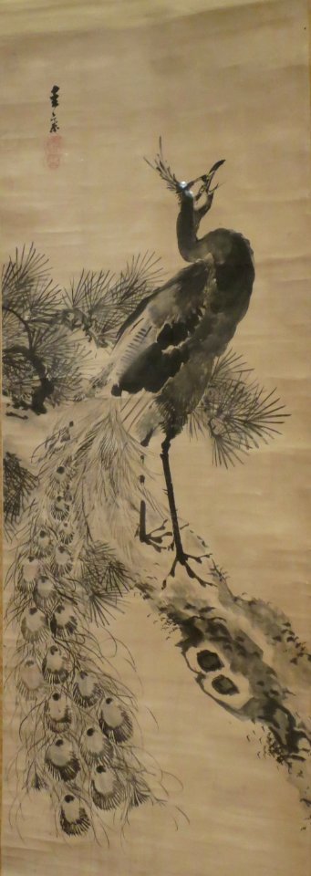 Peacock by Onishi Keisai, 18th-19th century, Honolulu Museum of Art