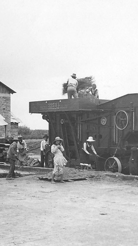 Operai intenti al lavoro di trebbiatura con macchine agricole - san dl SAN IMG-00002289