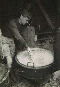 Oogsthulp in Tynaarlo - Fotodienst der NSB - NIOD - 211458