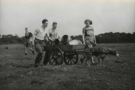 Oogsthulp in Tynaarlo - Fotodienst der NSB - NIOD - 211502
