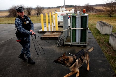 Operation Solid Curtain-Citadel Shield 160204-N-DC740-012
